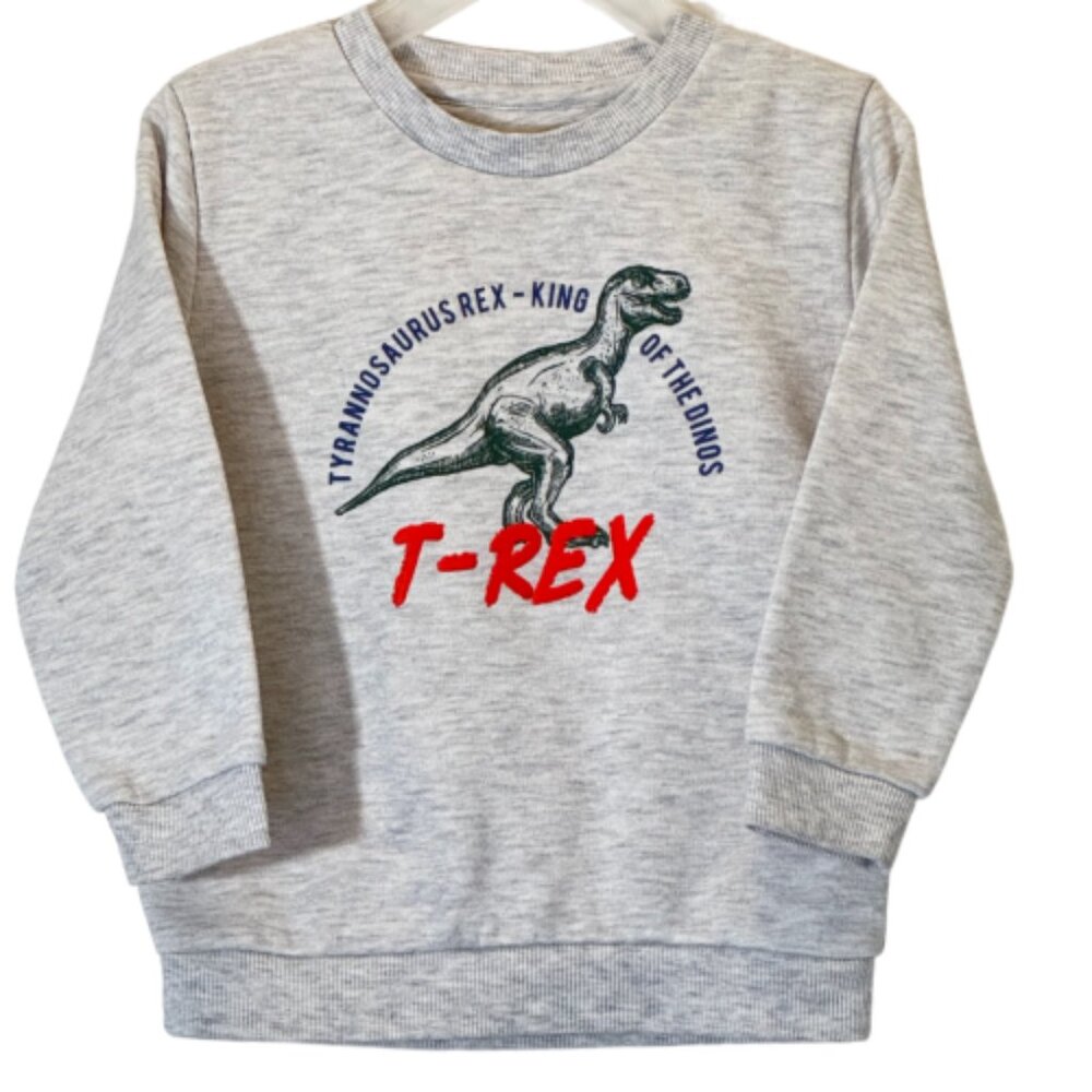 Boy's Sweatshirts Set of 3 Size 2-3Y - Picture 6 of 13